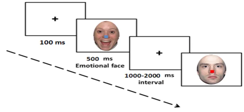 Figure 2. Illustration of the time course of stimulus presentation for covert condition