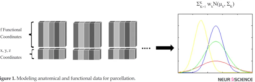 Figure 1. Modeling anatomical and functional data for parcellation.
