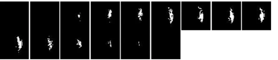 Figure 5. One parcel out of the 13 parcels, shown in Figure 4.
