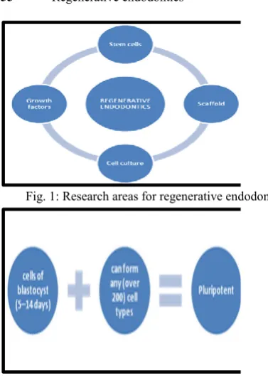 Fig. 3: Pluripotent stem cells