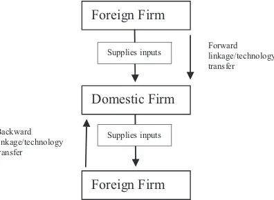 Fig. 1. Definition of FDI spillovers. Note: Direction of linkages is defined from the perspective of foreign firms.