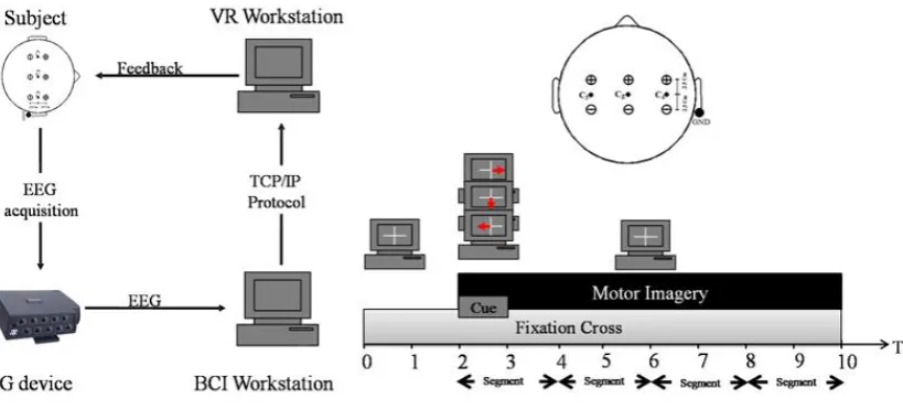 Figure 1. (a) The position of the electrodes in the experimental setup; (b) The proposed BCI design for navigation in the virtual environment; (c) Timing of each trial in offline processing.