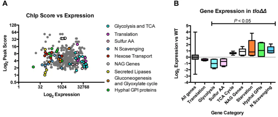 Figure 9. The relationship between Tlo1 binding and gene expression. (A) A plot of Tlo1 enrichment scores for the 367 most highly enrichedexpressed and repressed genes exhibited increased expression in thegenes versus the expression levels of those genes i