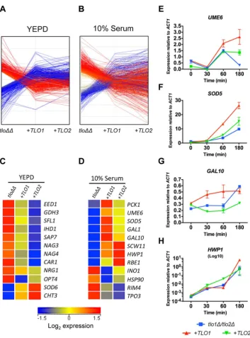 Figure 5. Reintroduction of TLO1180 min incubation in 10% (v/v) serum at 37relative toindicated genes following reintegration ofselected genes that were differentially expressed in theexhibited aexpression of the indicated genes inand distinct sets of gene