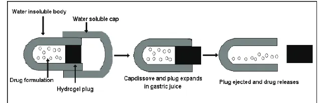 Figure 4: Capsule showing simple Port system.