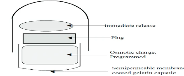 Figure 5: Capsule body having osmotically based system 3.
