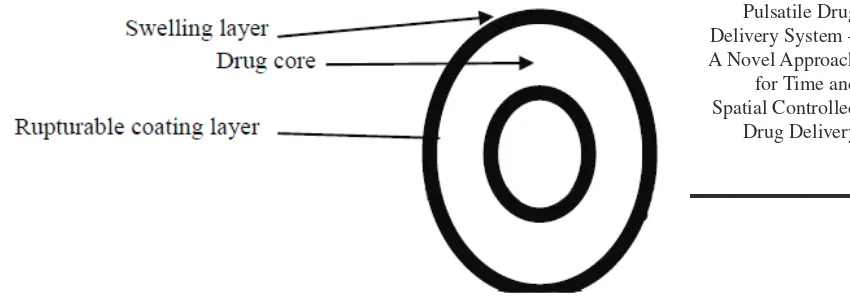 Figure 6: Rupturable system.