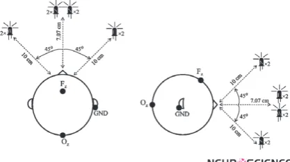 Figure 1. The position of the LEDs and electrodes in the sec-ond experimental setup. The left and the right images are the projection of the setup in sagittal and transverse planes, respectively.