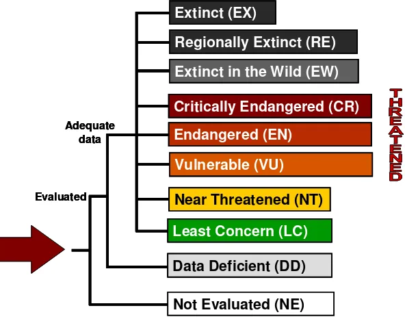 Figure 1 – Red List categories used for the purposes of this assessment.  Further details and definitions for these categories and the criteria for achieving them are available in IUCN (2001, 2003) and Appendix 1