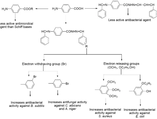 Figure 1: Structural requirements for the antimicrobial activity of Schiff bases and esters of PABA