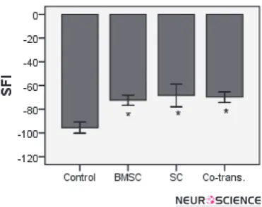 Figure 9. The results of the sciatic function index (SFI) test showed there were statistically significant differences between control and experimental groups (BMSCs, SCs and co-transplantation of  BMSCs and SCs)* while showing no statistically significant difference among the experimental groups (*p<0.05).