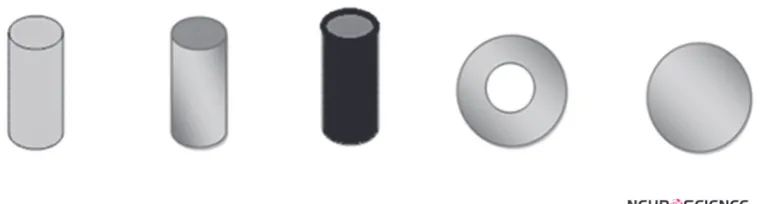 Figure 4. Sponge Pads (left) containing rubber electrodes (right)