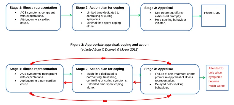 Figure 2: Appropriate appraisal, coping and action 