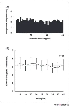Figure 1. (A) An example of spontaneous activity of neuron (2.16 ± 0.27 spikes/sec) recorded from the NAcSh in urethane-anesthetized rat