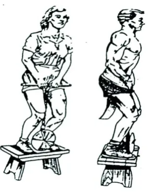 Gambar 3 . Leg Dynamometer. 