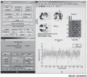 Figure 1. A screen shot of SPM. (a) Two windows used as an interface for design specification and analysis