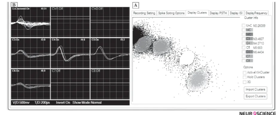 Figure 2. The extracellular waveform shows several different action potentials generated by an unknown number of neurons