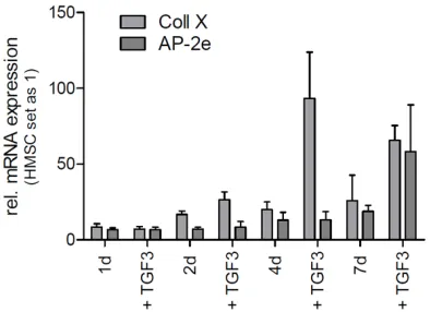 Figure 3. Expression of marker genes for late chondrogenic differentiation. HMSCs were cultivated in the hanging drop assay and treated with TGF-β to accelerate differentiation and to induce late stage chondrogenic markers