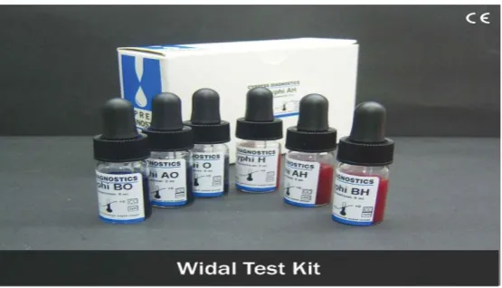 Gambar 4.  Widal Test Kit. (Sumber: Maulana, 2011) 