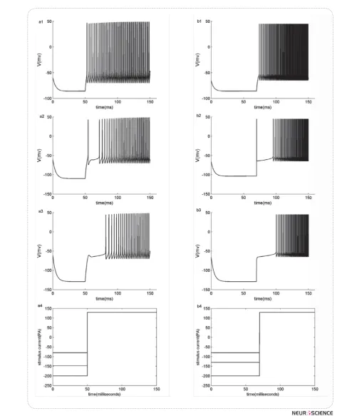 Figure 4.���������������������������������������������������������������������������������������������������������������������pA hyperpolarizing current(a1,b1) pauser pattern is generated by applying -147 pA hyperpolarizing to KM-LIF model and -130 pA to t