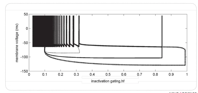 Figure 6. Changes of hf over time (a). By applying stronger pre hyperpolarization, hf approaches the maximum, and more IKif  deinactivates