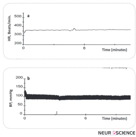 Figure 2. A typical tracing, showing the effects of microinjec-tion of CoCl2 (1mM in100 nl) into the KF nucleus on (a) heart rate and (b) blood pressure