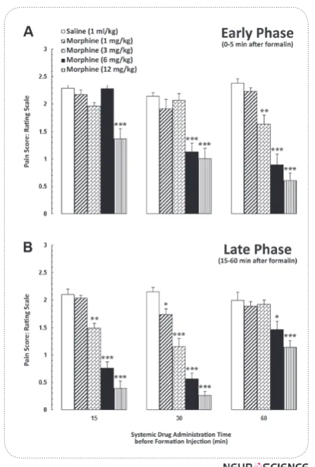 Figure 1. Time-course of formalin-induced pain behaviors after intraperitoneal administration of saline (1 ml/kg) or different doses of morphine (1, 3, 6 and 12 mg/kg) when in-jected (A) 15 min (B) 30 min and (C) 60 min before the forma-lin test
