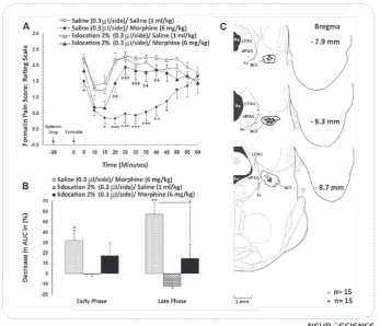 Figure 4. (A) Effect of reversible inactivation (lidocaine 2%) of the nucleus cuneiformis (NCF) on antinociception induced by systemic administration of morphine (ED50; 6 mg/kg, i.p.) dur-ing formalin test