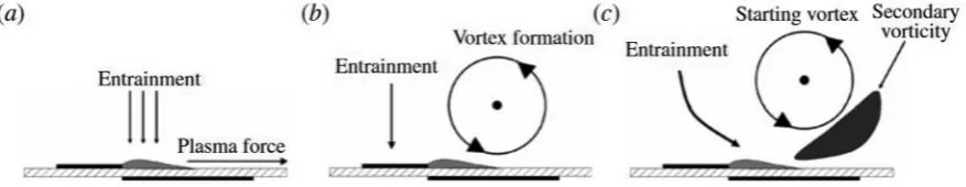 Fig. 2. The development of the starting point vortex (a) plasma initiation (b) vortex formation,(c) generation of secondary vorticity [13]