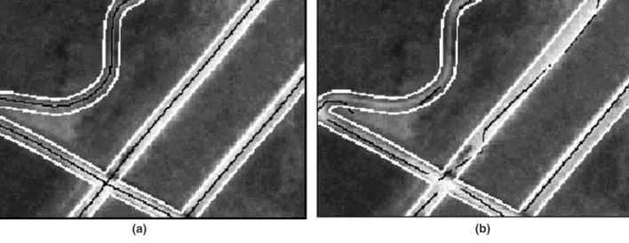 Figure 4. Example of raw image (a), and extracted road feature segments (b) for a por tion of a 3 m   3 m digital or thoimager y on the Oak Ridge Reser vation