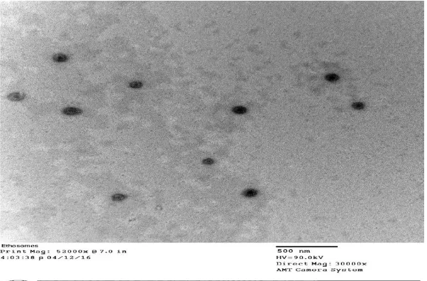 Table 3.7: IR interpretation of ethosomal gel. 