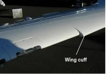 Fig. 7. Wing with marked wing cuffs