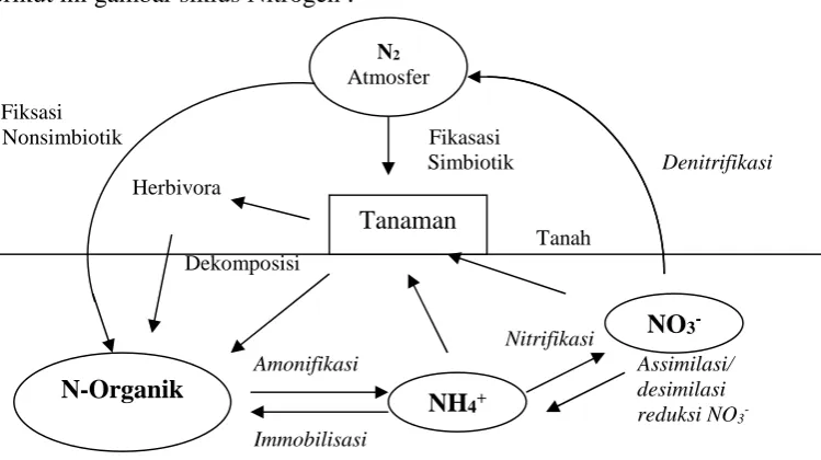 Gambar 1. Siklus Nitrogen