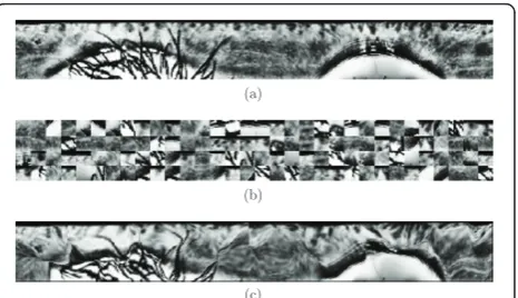 Figure 12 CB: (a) iris texture, (b) block permutation, (c) surfacefolding.