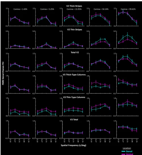Figure 7.Response to gratings of various SFs within dorsal versus ventral regions (LVF vs UVF cortical representations, respectively) of areas V2 and V3