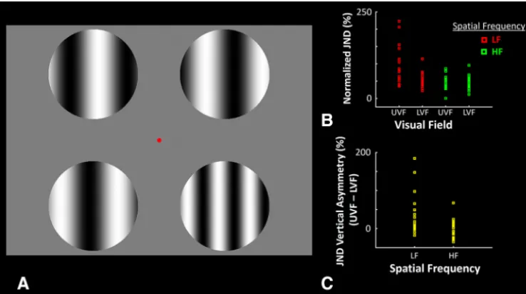 Figure 1.A schematic representation of the behavioral paradigm used in Experiment 1, along with subjects’ behavioral performance during those tests