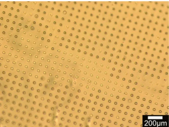 Figure 4.7. PDMS Membrane formation. Microscope image showing open pores 