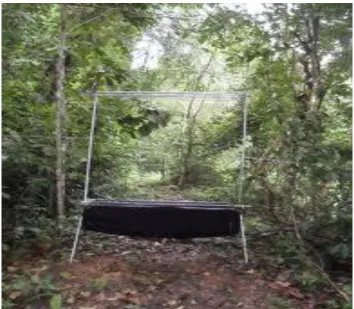 Gambar 2.  Perangkap Harpa 