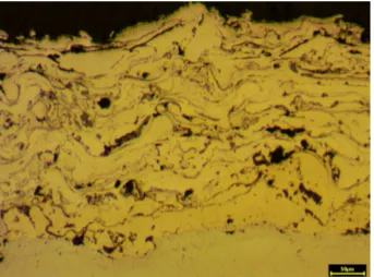 Fig. 1. Microstructure of AMI SPRAY ARC 100 powder coating with primer layer.