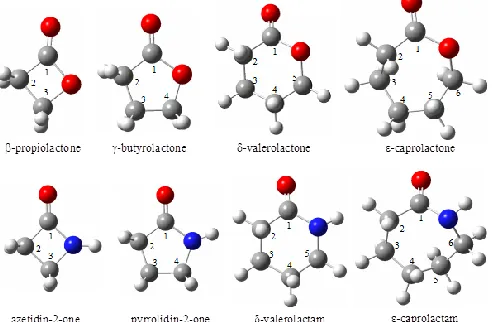 Fig 1.  Molecular structures of the lactones and lactams studied 