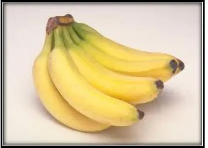 Gambar 1. Pisang 