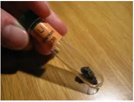 Gambar 2.5 Uranium (Wikipedia, 2012) 