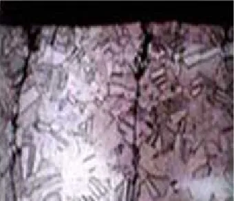 Gambar 1. (a) Integranular SCC pada baja karbon