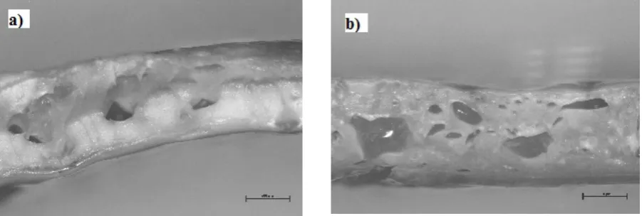 Fig. 8. Fragment of the cross section of the extruded PLA: a) solid, b) with 3% microspheresExpancel 950 MB 