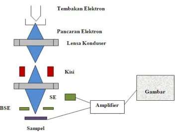 Gambar 5. Skematik prinsip kerja SEM.