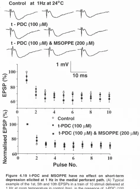 Figure 4.19 t-PDC and MSOPPE have no effect on short-term 