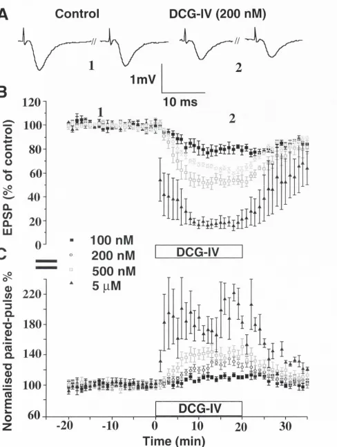 Figure 3.2 DCG-IV evokes a dose-dependent inhibition of excitatory synaptic transmission in the medial perforant path of the dentate gyrus Typical example of pairs of EPSPs (25 Hz) recorded at 0.0166 Hz in control (left) and 200 nM, 500 nM and 5 |iM caused