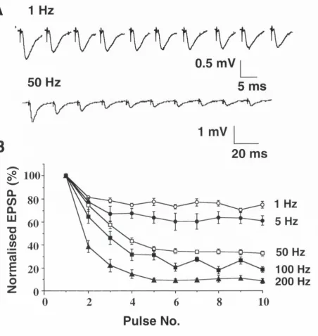 Figure 4.1 Frequency-dependent depression In the media! 