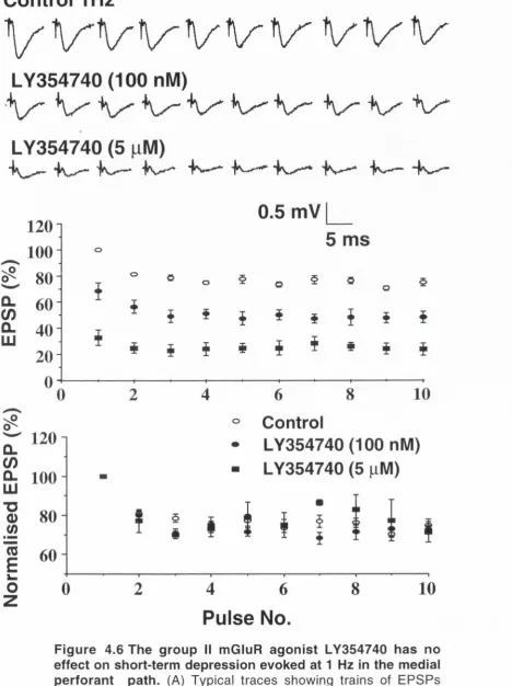 Figure 4.6 The group II mGluR agonist LY354740 has no 
