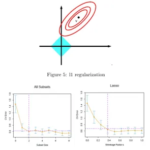 Figure 5: l1 regularization